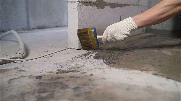SJ Waterproofing Pros Waterproofing coverage map for Dalton, NY and surrounding area